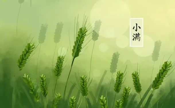 二十四节气——小满的来历和风俗-小满节气的来源