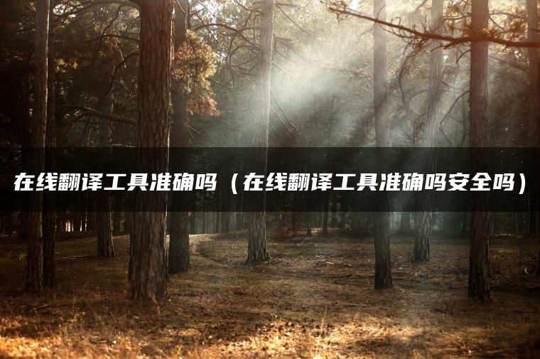 在线翻译工具准确吗（在线翻译工具准确吗安全吗）