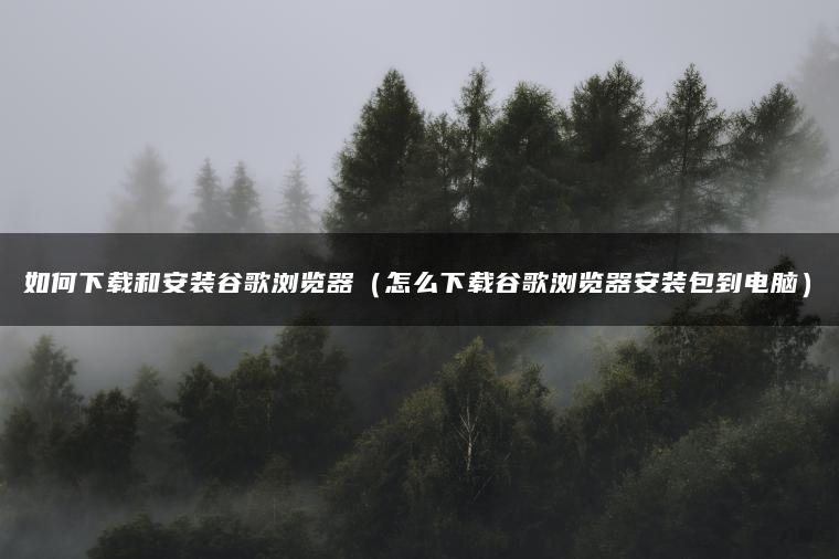 如何下载和安装谷歌浏览器（怎么下载谷歌浏览器安装包到电脑）