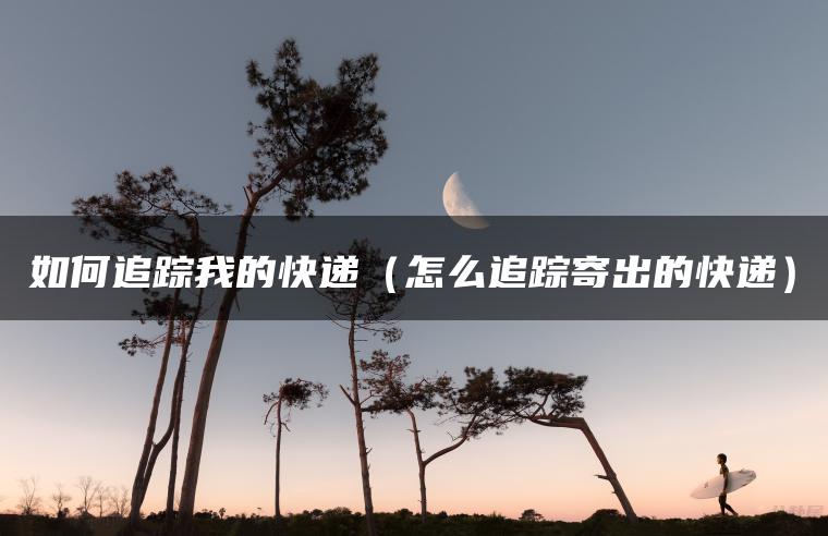 如何追踪我的快递（怎么追踪寄出的快递）