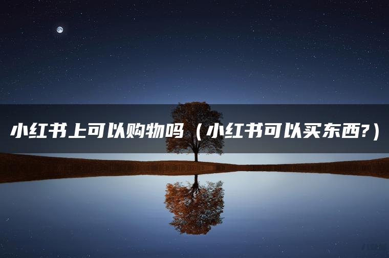 小红书上可以购物吗（小红书可以买东西?）