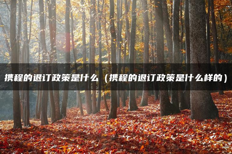 携程的退订政策是什么（携程的退订政策是什么样的）