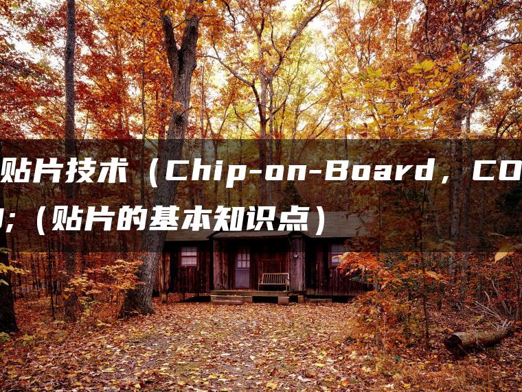 什么是贴片技术（Chip-on-Board，COB）（贴片的基本知识点）